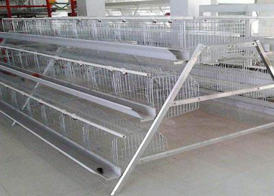 China Durable Layer Poultry Farming Equipment High Rearing Efficiency Easy Operation for sale