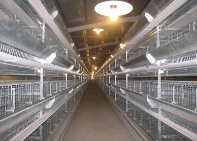 China 4 Tiers Livestock Farming Equipment Stainless Steel Tube Indoor Use for sale