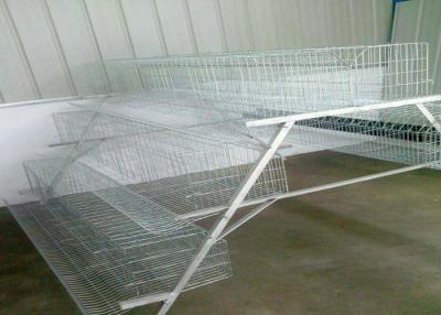 China Large Capacity Poultry Egg Farm Equipment A Type Hot Dip Galvanized Steel for sale