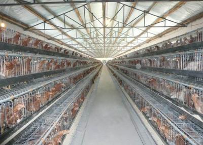 Chine Rassemblement de l'équipement de ferme avicole automatique d'équipement d'élevage d'oeufs à vendre