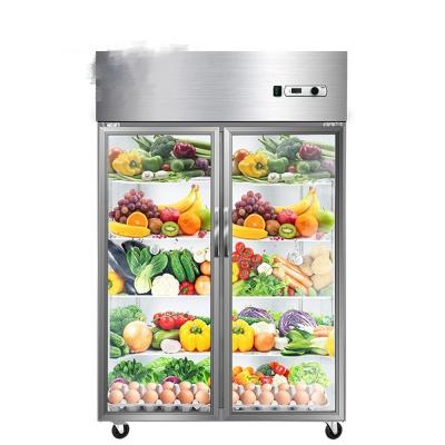 China Be born freezer ark of large window door body freezer ark of large capacity freezer for sale