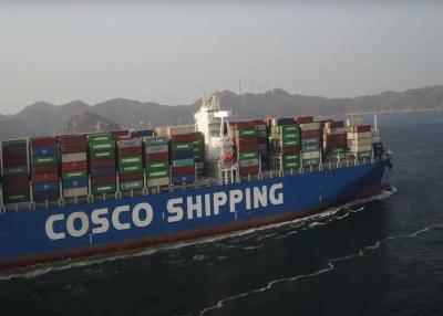 China LCL FCL Transporte Marítimo Internacional Guangzhou Para o Mundo à venda