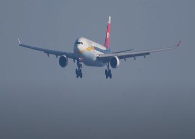 China Global Air Freight Shipping From China To Dubai 5-8 Working Days zu verkaufen