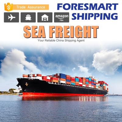 China 20FT FCL International Shipping Sea Freight for sale