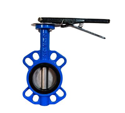 China Lever Ductile Iron Butterfly Valve Double Flanged API 598/EN 12266-1 Test Standard for sale