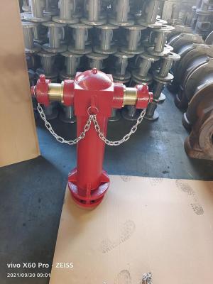 China OEM pedestal Pillar Type Fire Hydrant DN100/DN150 PN16 Pressure for sale