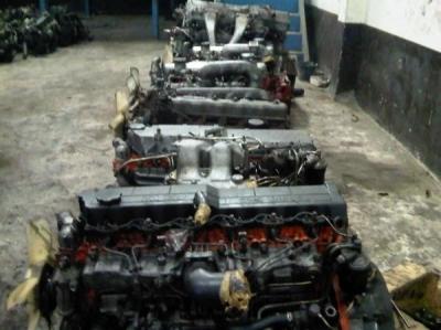 China o Oem de Isuzu do conjunto de motor 6hh1 parte o motor diesel Assy Motor De Isuzu à venda