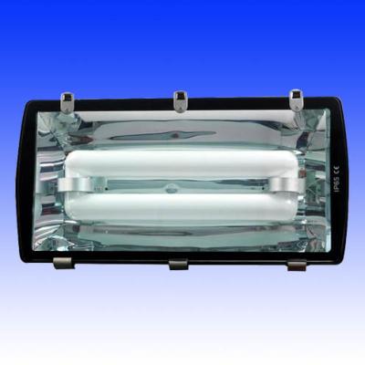 China LVD Tunnel lights| Low-frequency induction lamp |Outdoor lighting|Floodlights for sale