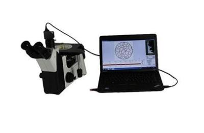 China microscópio metalúrgico invertido PL10X/18mm do ocular 500X à venda