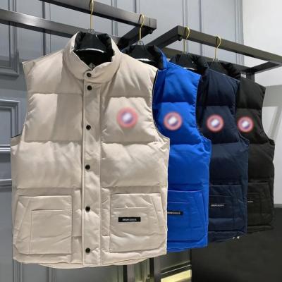 China                  Down Cotton Stand Collar Canada Plus Men′s Goose Down Coat Down Vest Outdoor Men              for sale