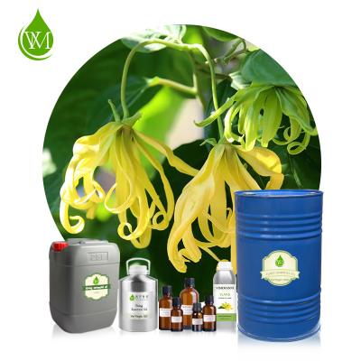 Китай Эфирное масло Ylang Ylang уклона 100% чистое терапевтическое для кожи продается