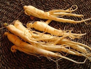China Ginseng root extract HACCP KOSHER FDA certificated pesiticide free 7% 80% ginsenosides for sale