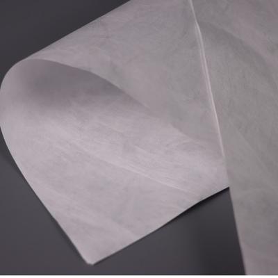Chine Papier de salle blanche polyester non tissé à feuille plate polyvalent à vendre
