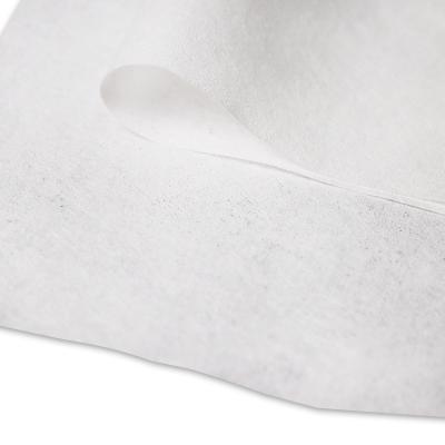 China Papel higiénico de poliéster estéril de baja partícula Papel higiénico seco no tejido en venta