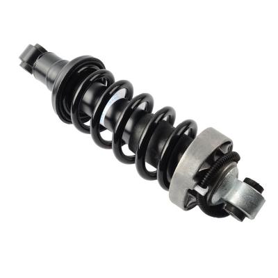 China Auto Shock Absorber for Audi R8 Front Shock Damper 420412019AG for sale