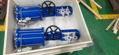 China Piston Operated Valve Actuator Linear Pneumatic Actuators SS304 SS316 for sale