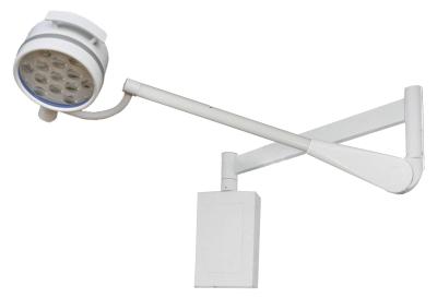 China ENT Clinic Portable Surgical Lights Wall Mounted With 200mm Diameter Head for sale