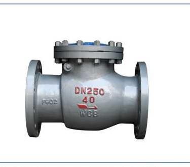 China Stainless Steel Dn50 Swing Type Check Valve Pn16 for sale