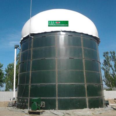 China Industrial Digester Biogas Production Plant In Biogas Plant for sale