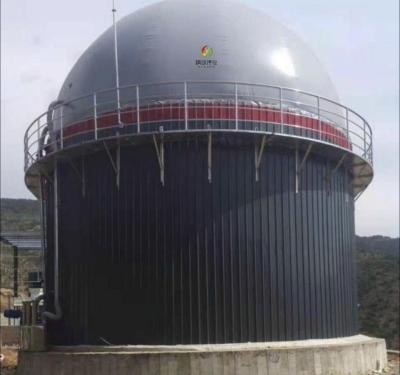 China Biogas Septic Tank Design Biogas Production In Bio Gas Plant Project for sale