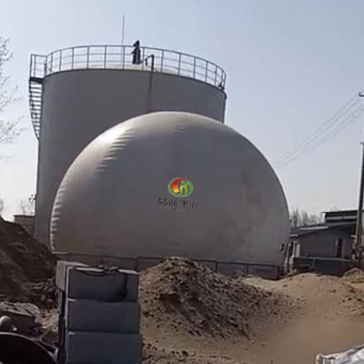 China Tanque de armazenamento do biogás da planta de engarrafamento do biogás da planta do biogás do balão à venda