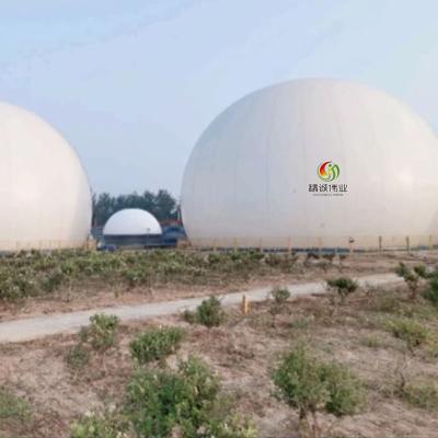 China Double Membrane Flexible Biogas Gas Holder For Anaerobic Reaction for sale