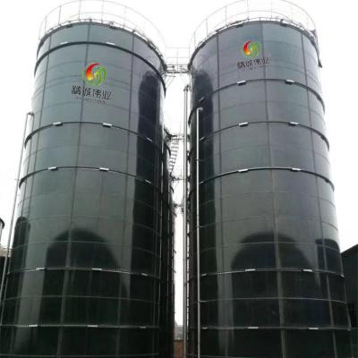 China Small Scale Bio Cng Plant Biogas System Portable Bio Gas Plant For Home for sale