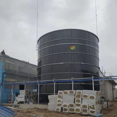 China home made biogas digester food waste biogas plant Project for sale