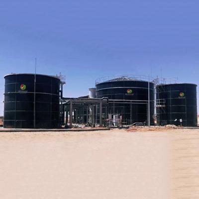 China Biogas From Napier Grass Biogas Plant From Waste for sale