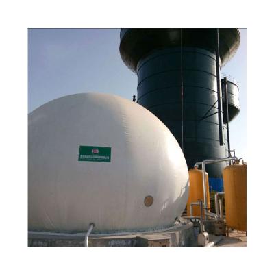 China Baja planta costo del biogás de la conversión de energía del verde del biogás en venta