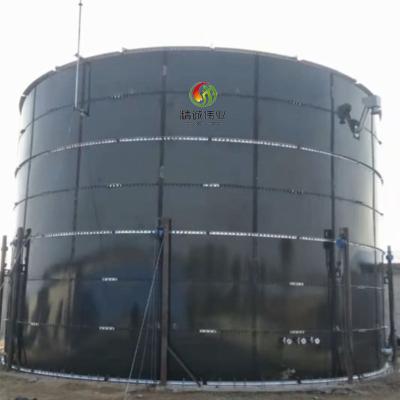 China Biogas Production Anaerobic Digestion Biogas Production Cost for sale