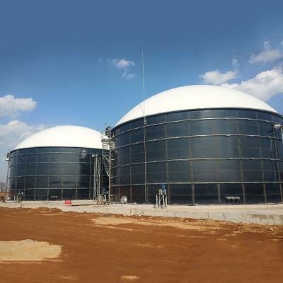 Chine Renewable Energy Biogas Plant Project Utilizing Anaerobic Digestion à vendre