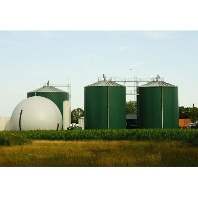Cina 0.5-2.0mm Anaerobic Digester Tank For On Site Installation in vendita
