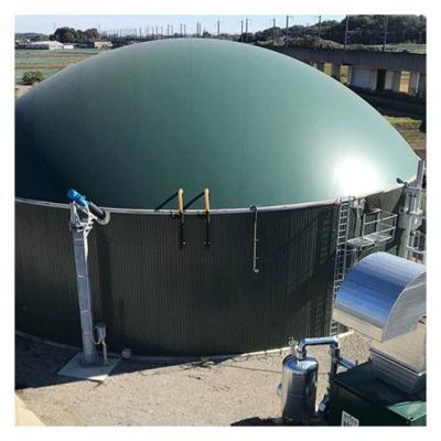中国 Biogas Fermentation Tank For Chicken Farm Anaerobic Reactor 販売のため