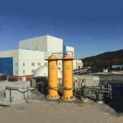 China Steel Biogas Purification Plant Ensuring Clean And Reliable Industry Fuel en venta