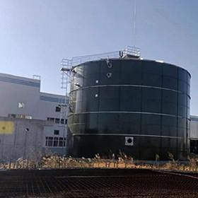 China EGSB Anaerobic Reactor Wastewater Treatment Manure Methane Digester for sale