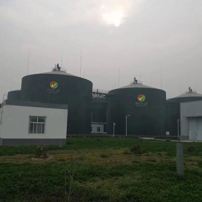 China N2O Gobar Gas Balloon Biogas Plant Project Anaerobic Digestion Tank for sale