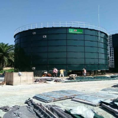 China 1 MW Biogas Power Plant Anaerobic Reactor Renewable Energy Plants for sale