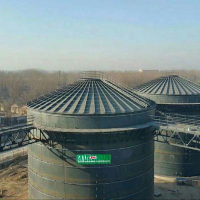 China EGSB Biogas Plant Project Domestic Anaerobic Biogas Digester System for sale