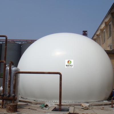 China N2O Small Biogas Plant Project Methane Biogas Storage Balloon for sale