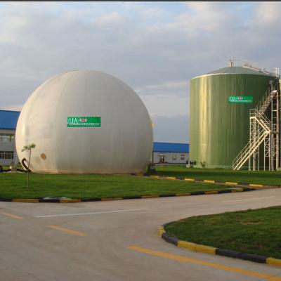 Chine Membrane anaérobie automatique de support de gaz de biogaz de support de gaz de Tecon double à vendre