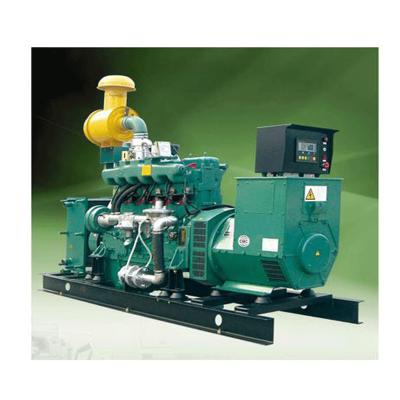 China Biogas Power Generator With Eco Friendly Spray Paint for sale