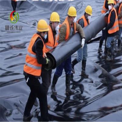 China Plastic PE 3mm Geotextile Ondoordringbaar Membraan voor het Permeabele Bedekken Te koop