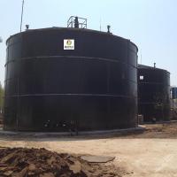 Cina Impianto di biogas commerciale in espansione del fango di trattamento delle acque reflue granulare del letto EGSB in vendita