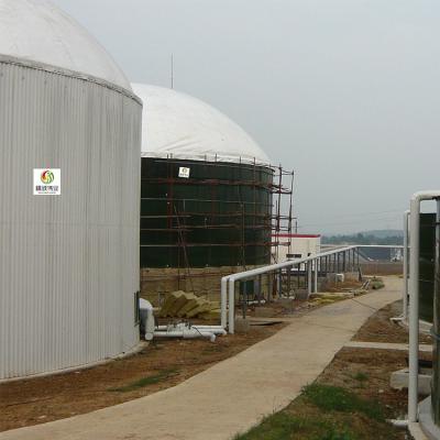 China Dung Biogas Plant Project UASB Anaerobic Digestion Power Plant for sale