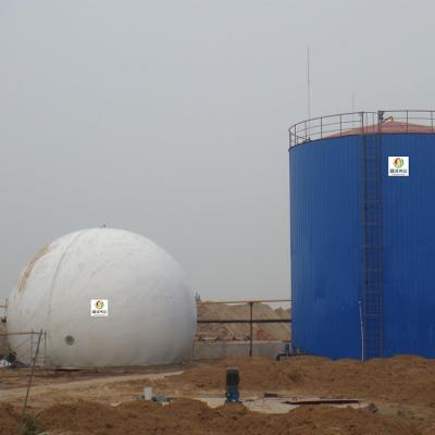 China Bio tenedor de gas del reactor del biogás de gas del tenedor del digestor residencial anaerobio del metano en venta
