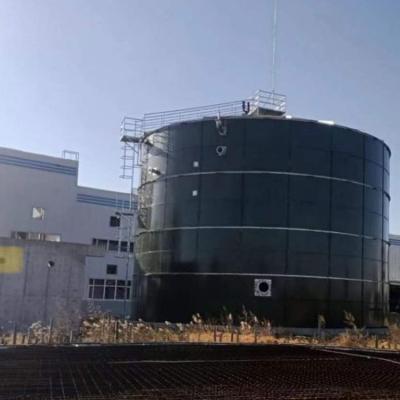 Chine Haut Rate Anaerobic Reactor Anaerobic Fixed réacteur de film d'EGSB économique à vendre