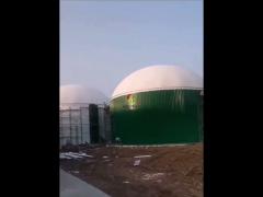 2000m3 anaerobic reactor +800m3 biogas holder