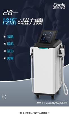 China Rf Heimt Bodycontouring Fat Freezing Machine  Slimming Mini Cryolipolysis Machine for sale