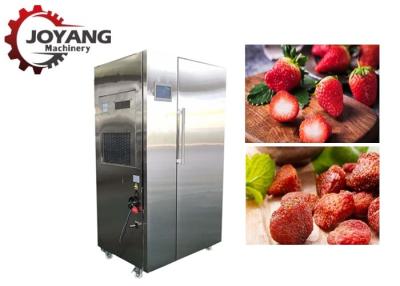 China Sequedad de la fresa del arándano de la máquina del secador del aire caliente de la grosella negra de la pompa de calor en venta